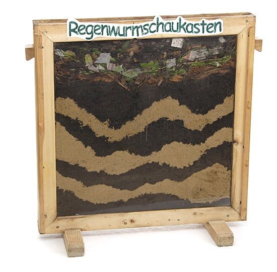 Regenwurmschaukasten